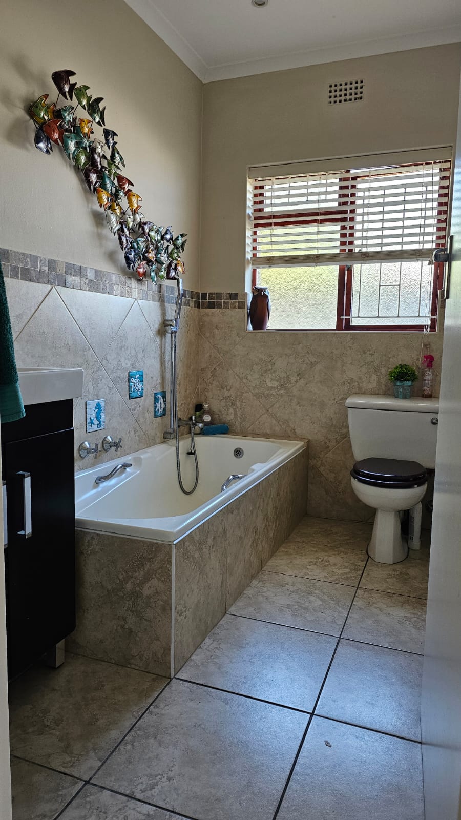 To Let 4 Bedroom Property for Rent in Fish Hoek Western Cape